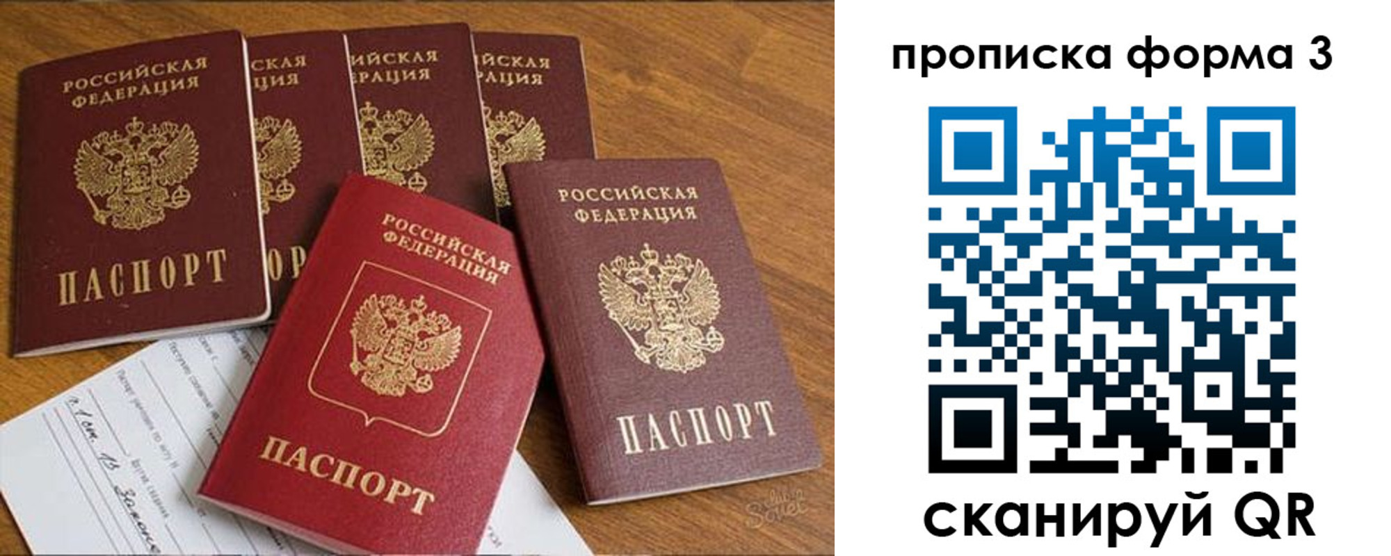 прописка 2025 в Светогорске